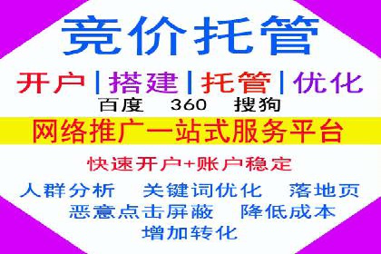 成功案例解读：SEM推广代运营策略